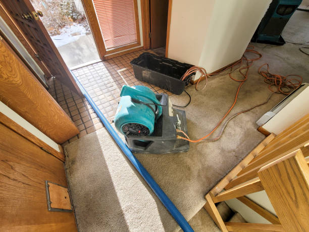 Best Sewage cleanup and water damage restoration  in Kalifornsky, AK
