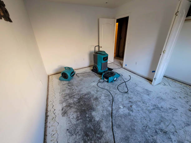 Best Residential water damage restoration  in Kalifornsky, AK