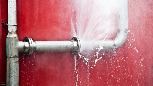 Best Water damage cleanup near me  in Kalifornsky, AK
